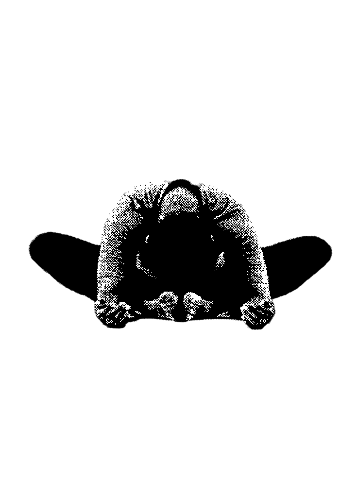 butterfly-pose-yin-yoga